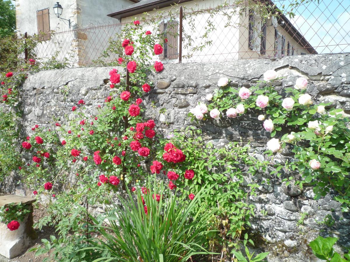 Bearn Bed & Breakfast 波城 外观 照片